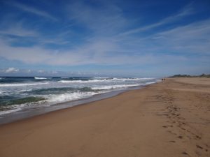 Illovo Beach