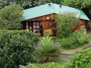 Single Cabin